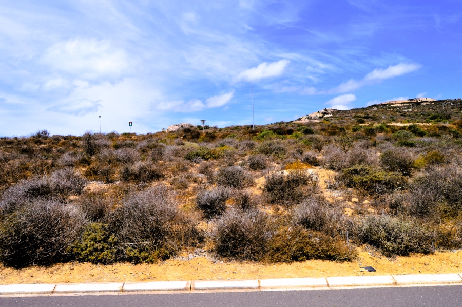 0 Bedroom Property for Sale in Steenbergs Cove Western Cape